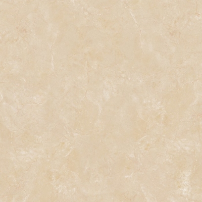 Gạch Viglacera 60x60 B 6005